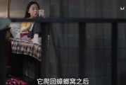 神秘人爆料姐姐的私事视频,姐姐私密视频事件揭秘