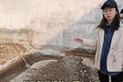 最新爆料田静评论视频,揭秘背后真相与观点交锋