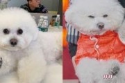 付大锤最新爆料,娱乐圈最新重磅爆料！